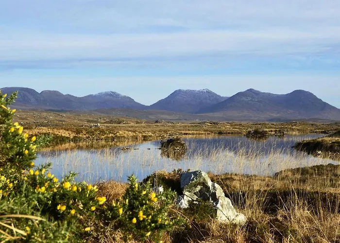 Hébergement de vacances 430 - Roundstone